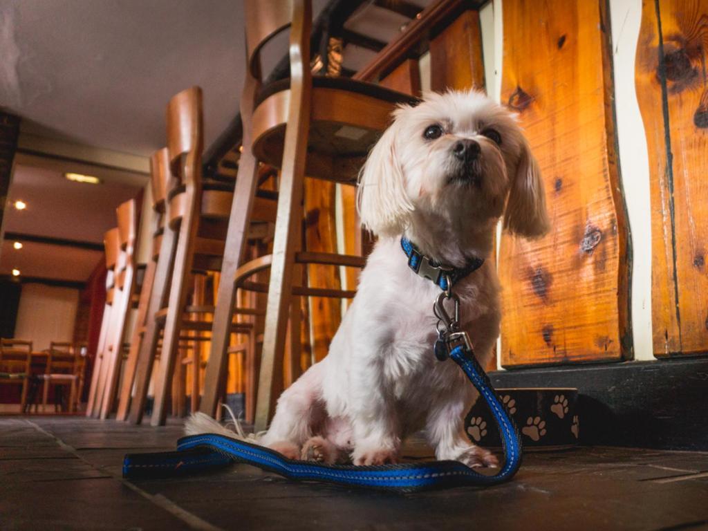 The Shoe Inn Plaitford Εξωτερικό φωτογραφία